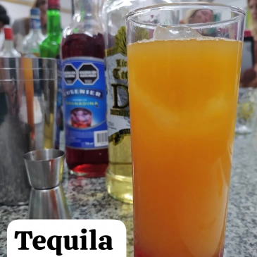 Imagen del curso